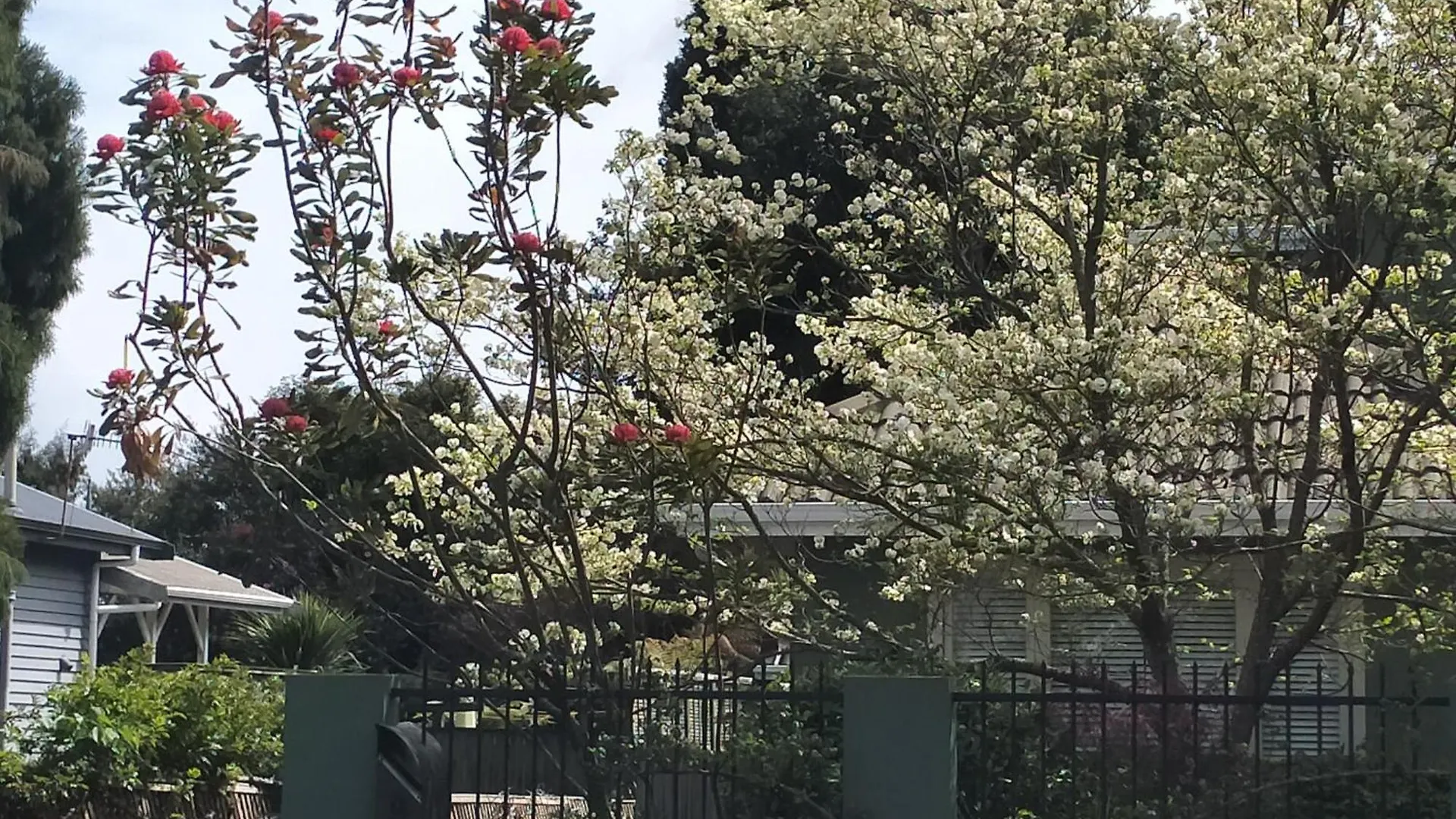Amberly House Rotorua Bed & Breakfast